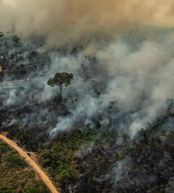 Retrocesso ambiental: Amazônia tem junho com mais queimadas em 16 anos