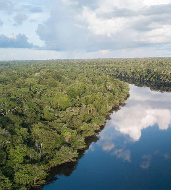 BNDES e Eneva destinam R$ 8,9 milhões para restauração ecológica na Amazônia
