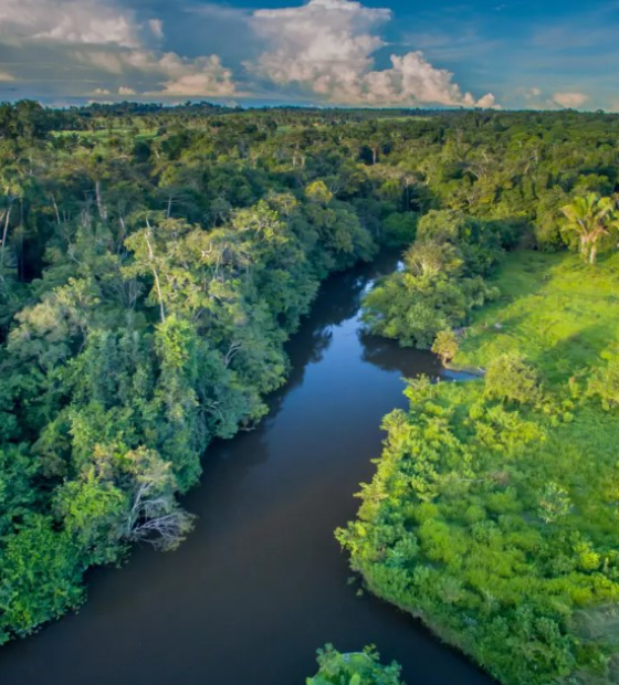 Plano federal prevê R$ 2 bilhões para combate à criminalidade na Amazônia
