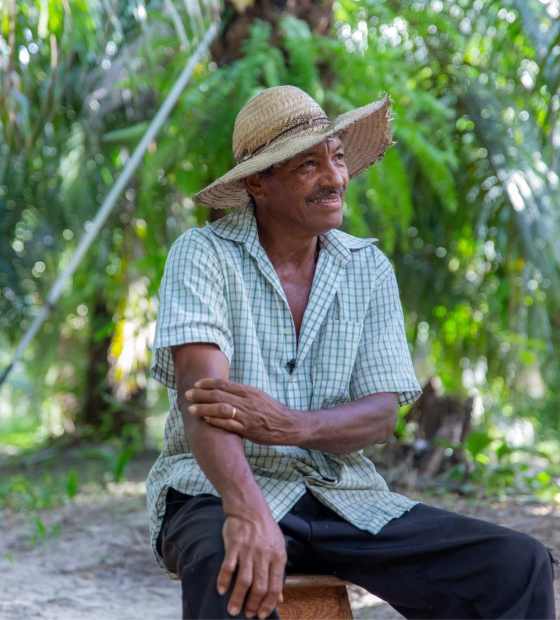 Pequenos agricultores do Pará têm mudança de vida com o cultivo do dendê