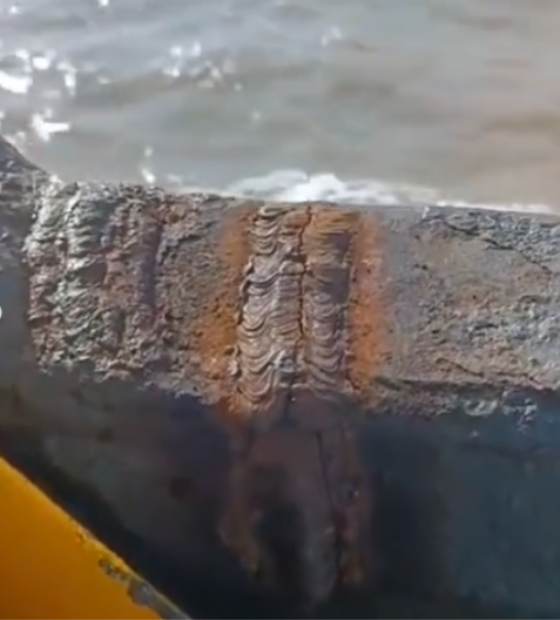 Vídeo que mostra balsa com estrutura danificada não faz a travessia para o Marajó