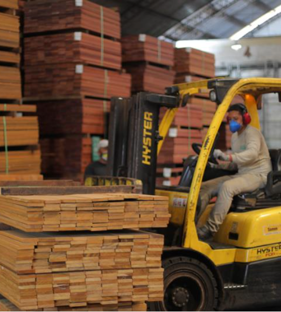 Pará: exportações de madeira caem 40% no primeiro semestre