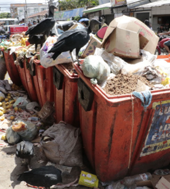 TCM notifica prefeitura e Secretaria de Saneamento de Belém para apresentarem defesa sobre o lixo