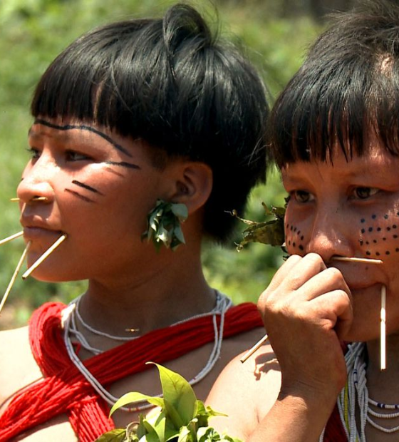 Censo 2022: Brasil tem 1,69 milhão de indígenas