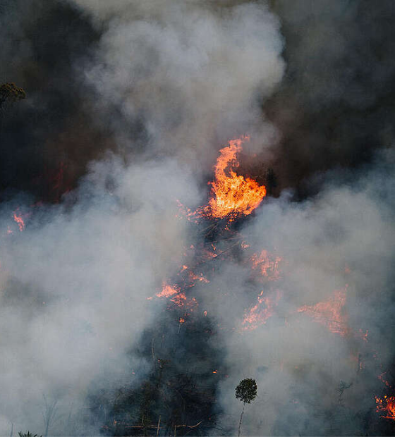 Greenpeace divulga imagens inéditas de queimadas na Amazônia