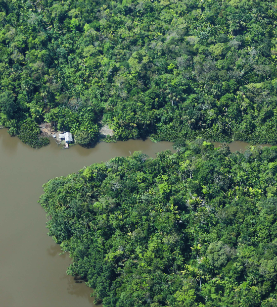 Estado retoma discussão de projetos sustentáveis em Florestas Públicas