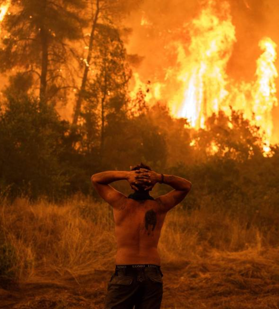 Incêndio florestal na Grécia é o maior já registrado na União Europeia; ao menos 21 pessoas morreram