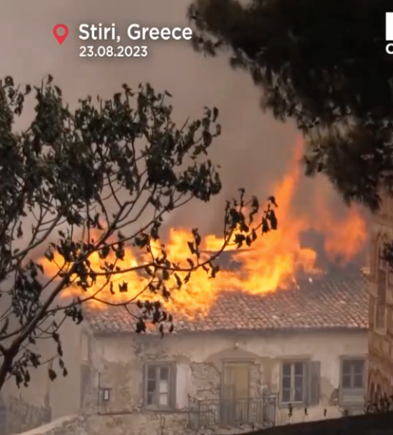  Incêndios atuais na Grécia são os maiores da história da UE, afirma Comissão Europeia