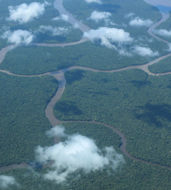 Estado poderá acessar BID e Banco Mundial para investir em meio ambiente e educação