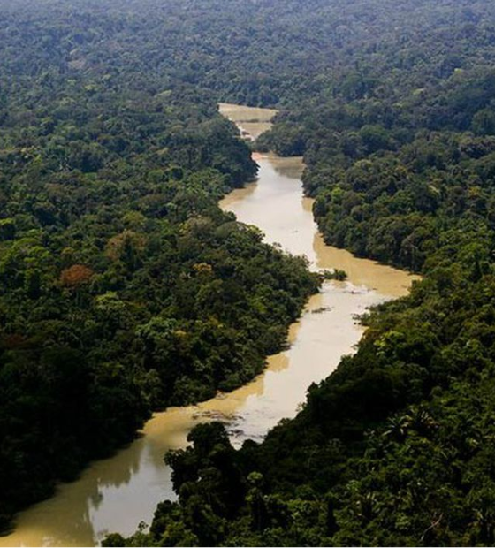 Área usada pelo garimpo ilegal aumenta em 35 mil hectares, diz estudo