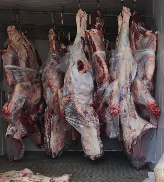 Mais de 800 kg de carne imprópria para consumo são apreendidos pela Adepará