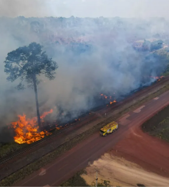 Fogo em vegetação atinge Juruti  