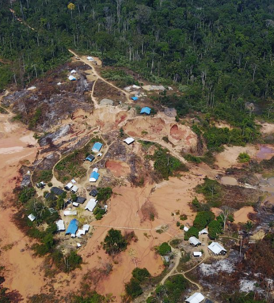 No Pará, empresa ignora comunicado e segue vendendo escavadeiras na Transamazônica