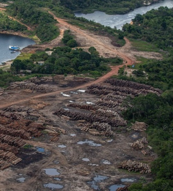 Prazo para desocupação de terras indígenas no Pará termina amanhã