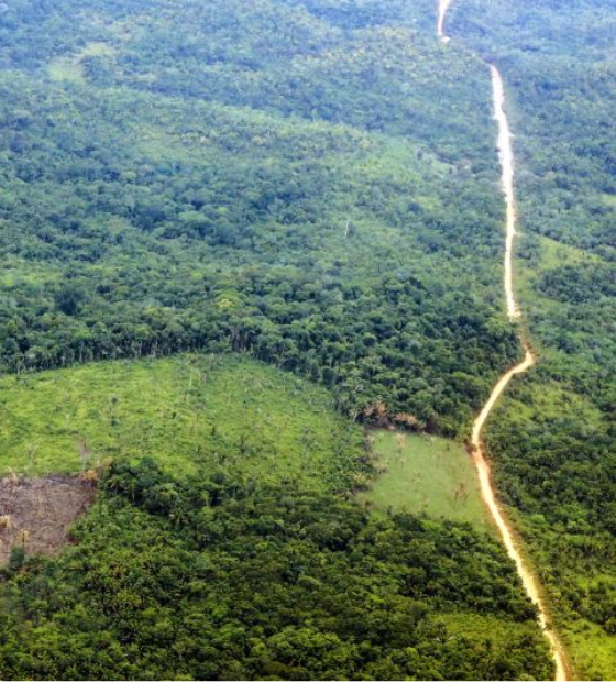 Pará tem quase 7 mi hectares para resolver a questão fundiária e ambiental 