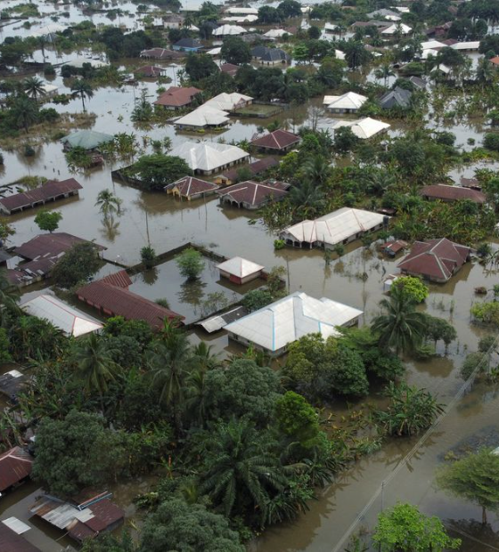 ONU: Financiamento para a adaptação a mudanças climáticas em países em desenvolvimento cai 15%