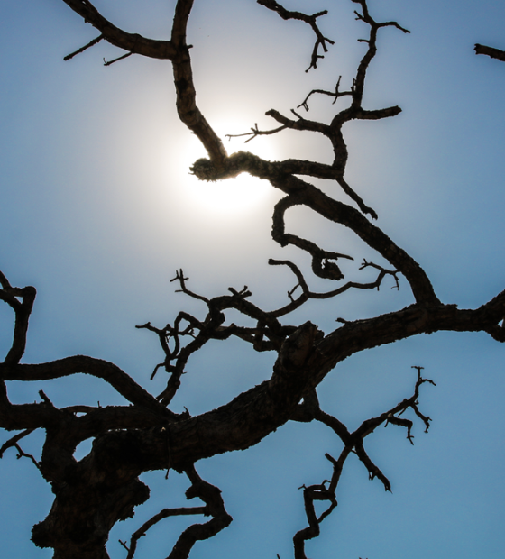 Brasil registra recorde da temperatura média pelo quarto mês seguido