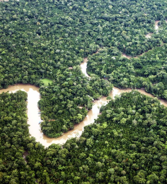 Belém vai sediar Fórum de Integração das Universidades Estaduais da Amazônia