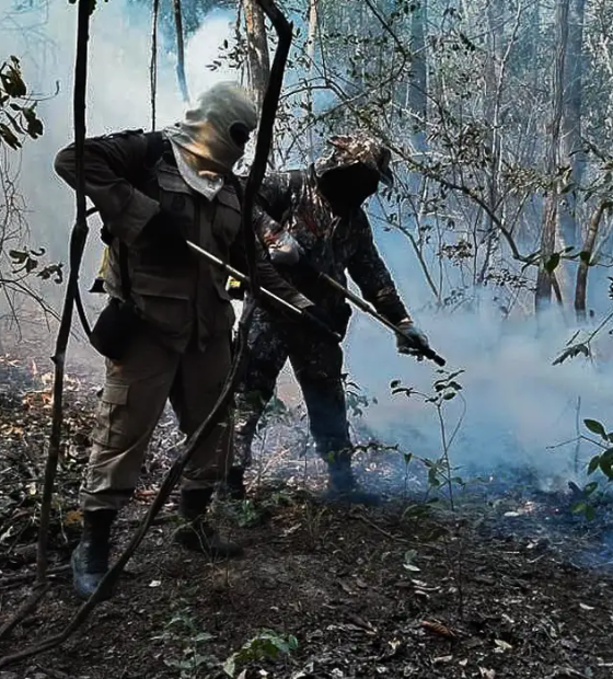 Dois estados decretam emergência em razão de incêndios no Pantanal