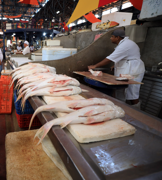 Feiras e mercados de Belém apresentam queda no preço do pescado pela sétima vez