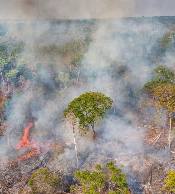 Brasil reduz emissões de gases estufa em 8%, mas taxa é uma das mais altas da última década