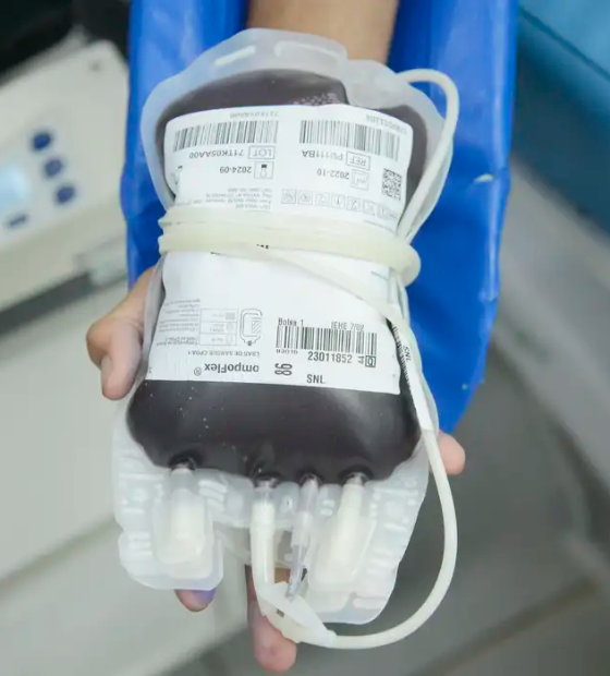 Aplicativo facilitará doações de sangue no Brasil