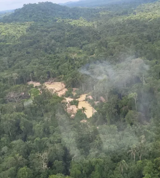 Barroso reverte decisão e mantém expulsão de invasores em Terra Indígena do Pará