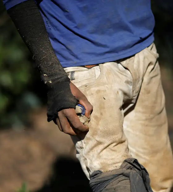 Mais de 2,8 mil pessoas deixam trabalho análogo à escravidão