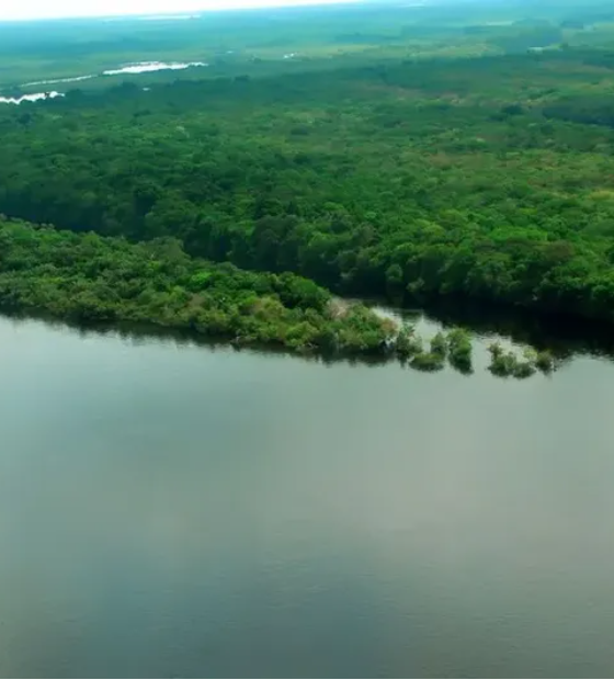 BNDES investe R$ 75 milhões em fundo para pequenas e médias empresas na Amazônia