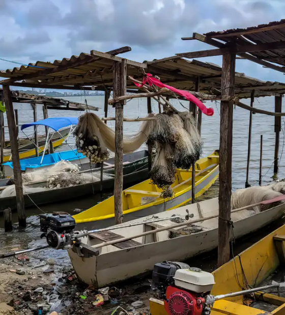 Peixe na água e rede vazia: desastre da Braskem atinge pescadores