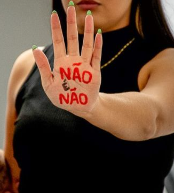 Câmara aprova protocolo Não é Não para proteger mulheres em casas noturnas shows e bares