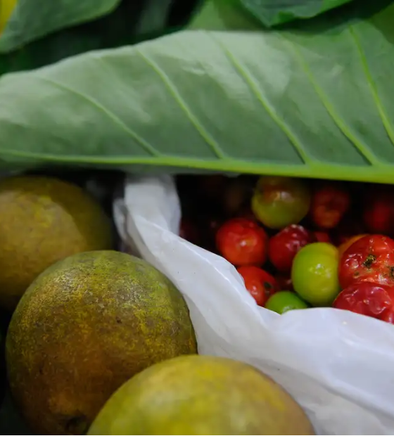 Registro de novos agrotóxicos segue em alta no Brasil, diz Mapa