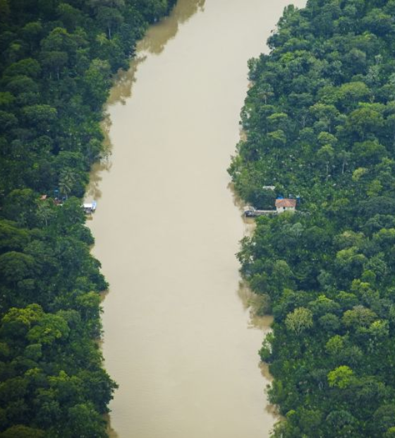 Desmatamento na Amazônia cai 62% de janeiro a novembro e é o menor desde 2017