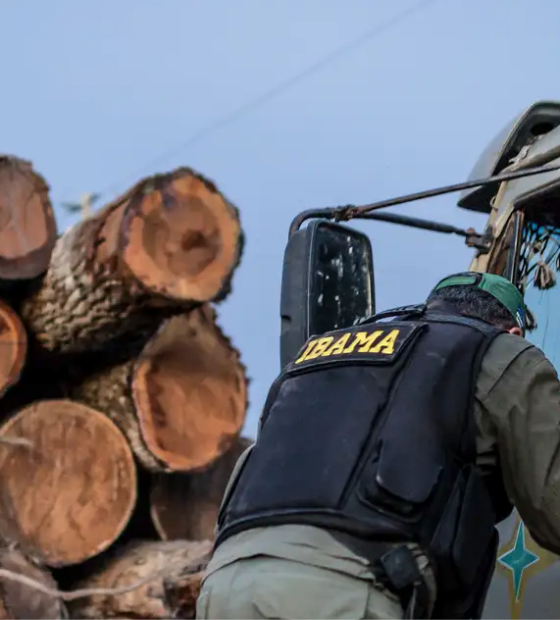 Servidores do Ibama prometem suspender fiscalização ambiental