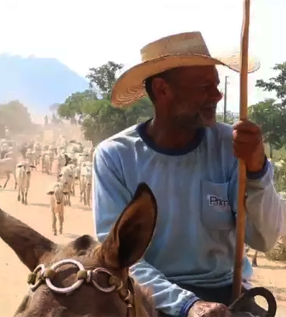 Tempo se encarrega de mandar para o esquecimento drama de vida e morte na Terra Indígena Apyterewa