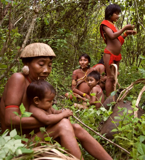 Governo investirá R$ 1,2 bilhão em estrutura local dedicada à terra yanomâmi