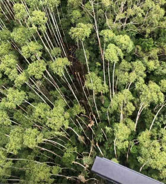 Helicóptero que desapareceu em viagem para litoral norte de SP é encontrado