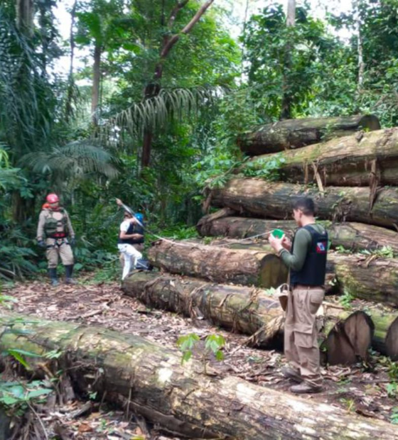 Acordo de cooperação permite que agentes de segurança atuem na fiscalização ambiental no Pará