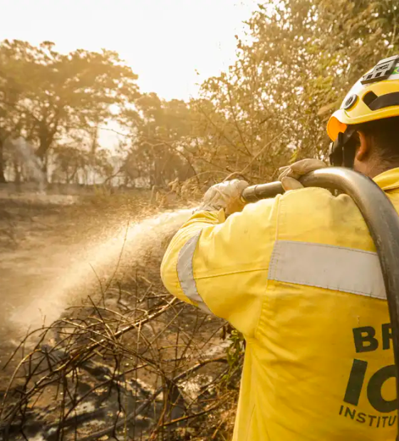 Mais de 17,3 milhões de hectares foram queimados em 2023 no país