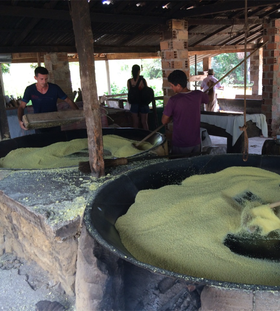 Emater abandona Unidade de Bragança, desativa laboratório de solo e prejudica agricultores do Estado