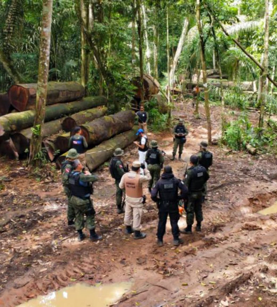 Governo do Pará prorroga decreto de Emergência Ambiental em 15 municípios