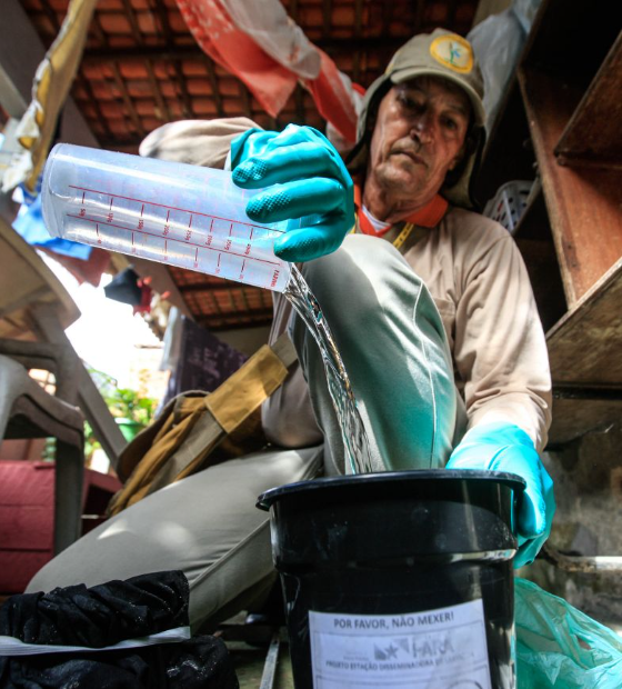 Pará registra queda de 36,49% nos casos de dengue; veja medidas preventivas contra o mosquito