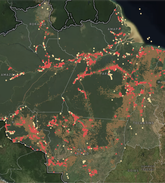 71% dos sítios arqueológicos em florestas na Amazônia Legal estão sob áreas desmatadas