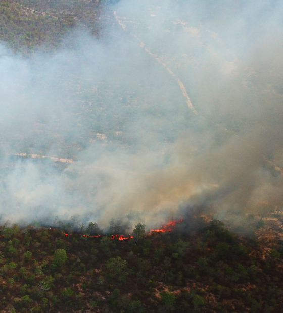 Amazônia bate recorde de queimadas em fevereiro