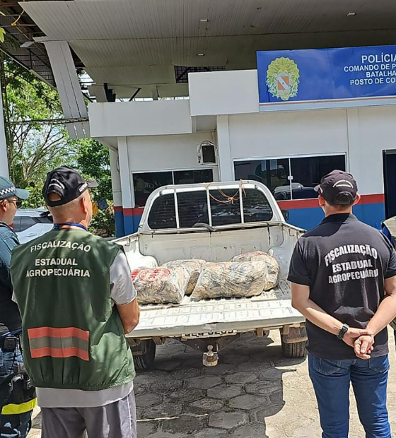 Governo do Estado restringe saída do pescado para a Semana Santa