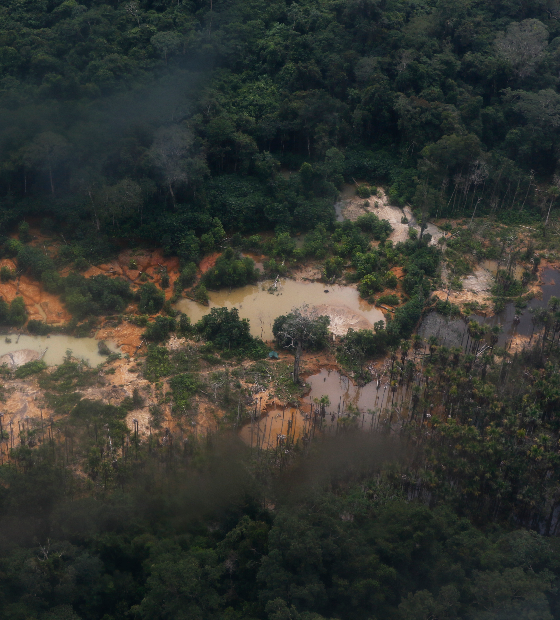 Garimpo abriu área equivalente a quatro campos de futebol por dia em 2023 nos territórios Yanomami, Kayapó e Munduruku 