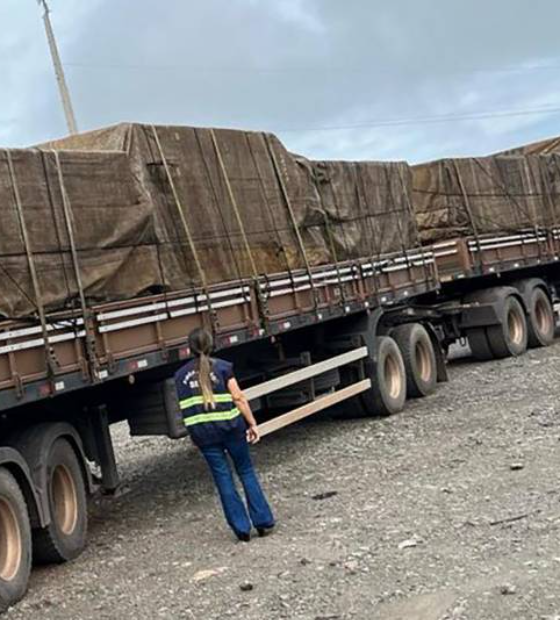 Sefa apreende carga de cobre avaliada em mais de um milhão e 700 mil reais