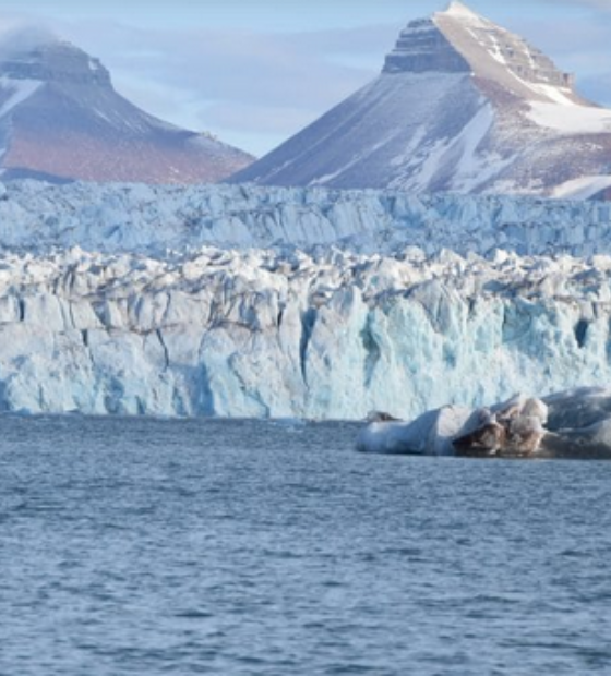  Chuva substitui neve no Ártico por causa das mudanças climáticas, dizem cientistas da Nasa