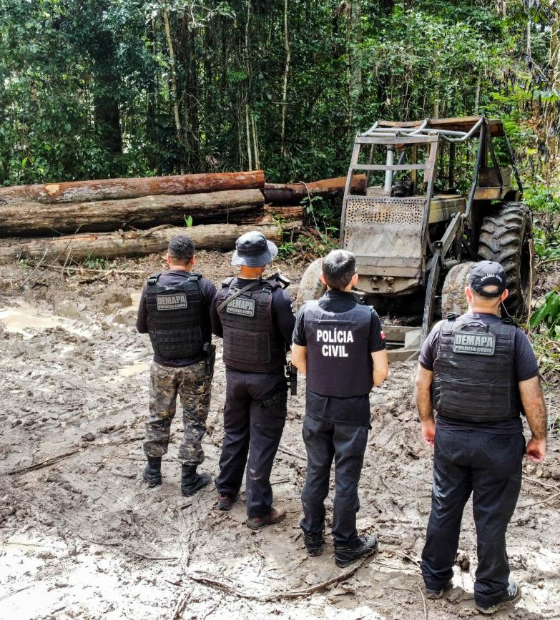 Operação descobre desmatamento ilegal e fecha madeireira no Pará