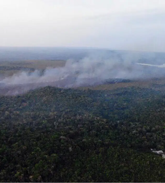 Calendário define áreas em emergência ambiental por incêndio florestal